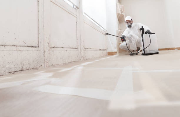 24/7 Emergency Commercial Mold Remediation experts in Livingston, TN
